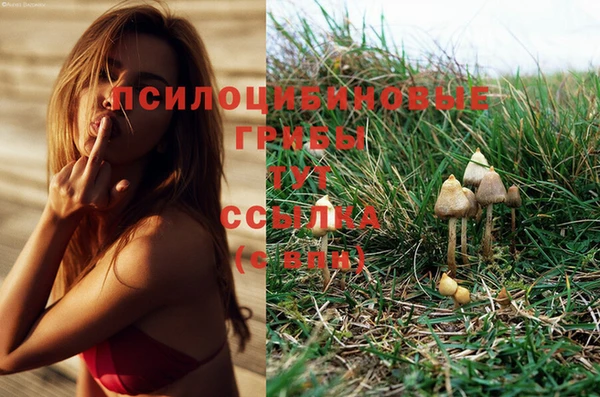 гидропоника Фурманов