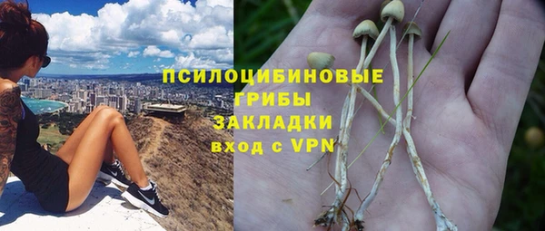 ГАЛЛЮЦИНОГЕННЫЕ ГРИБЫ Ханты-Мансийск