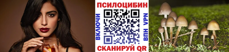 хочу наркоту  Монино  Псилоцибиновые грибы MAGIC MUSHROOMS 